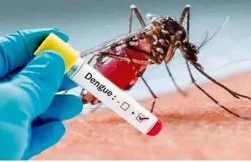 هشدار؛ گردش ویروس تب دنگی در این استان