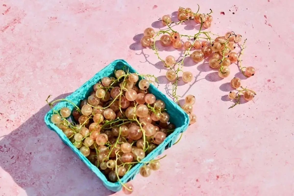 ۳ نشانه که نشان می‌دهد فیبر شما بیش از حد است
