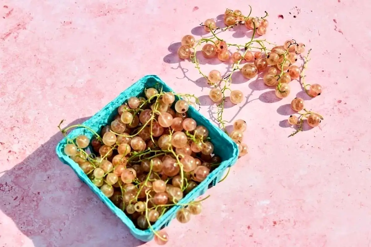 ۳ نشانه که نشان می‌دهد فیبر شما بیش از حد است
