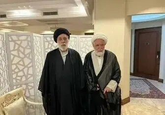 عکسی از دیدار سیدهادی خامنه‌ای با مهدی کروبی