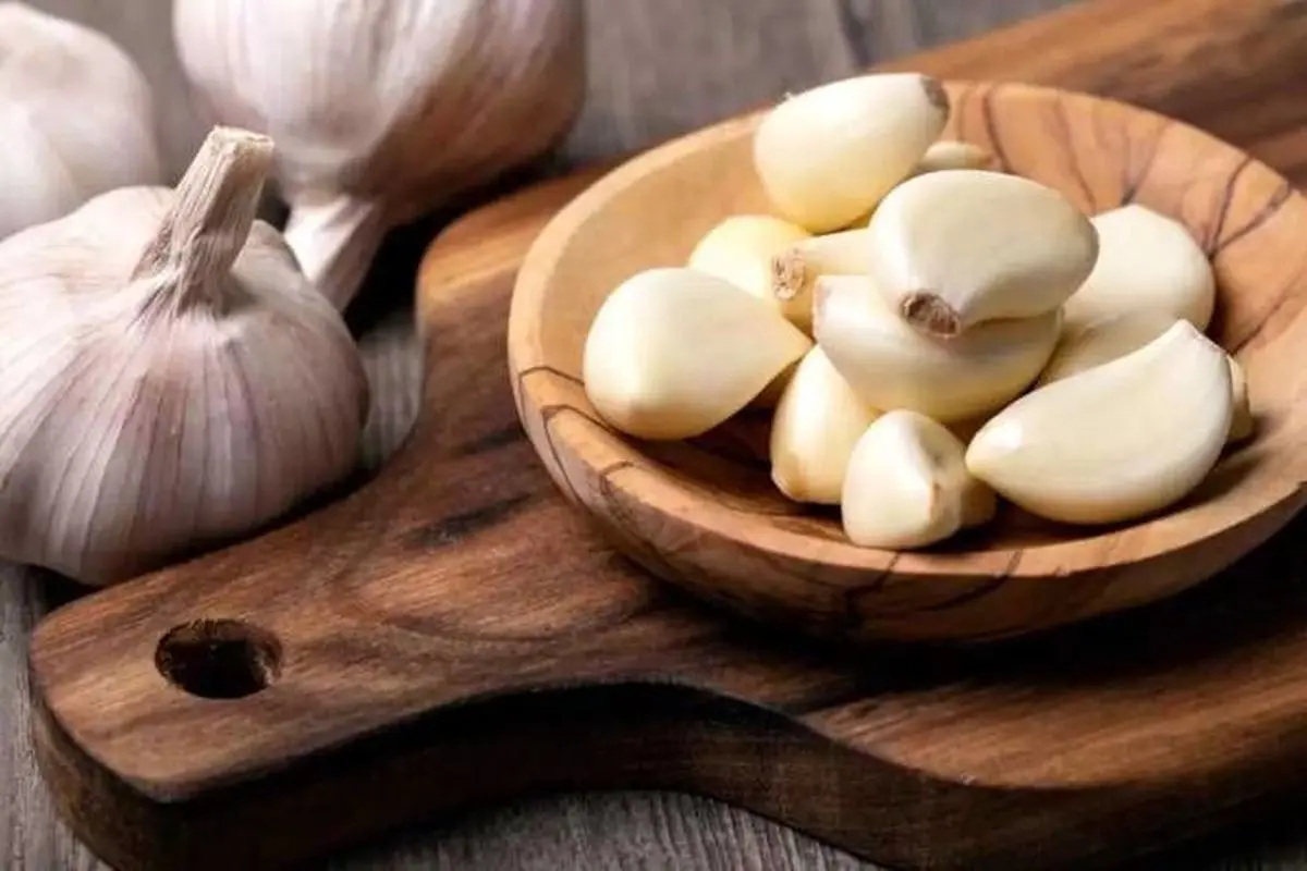 یک حبه سیر قورت بدهیم مفیدتر است یا خرد شده بخوریم؟
