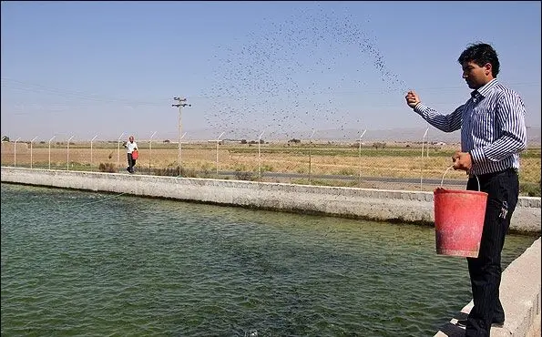 زنی که با پول یارانه برای ۱۰ نفر شغل ایجاد کرده است