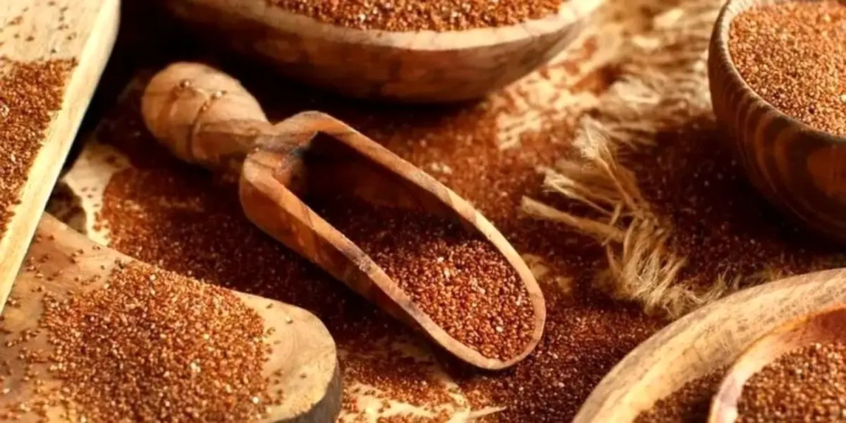 پاکسازی کبد فقط با مصرف خاکشیر