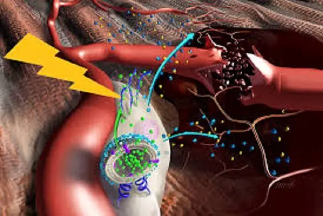 خطر سندرم «کمپارتمان ارتوپدی» در ریزش آوار
