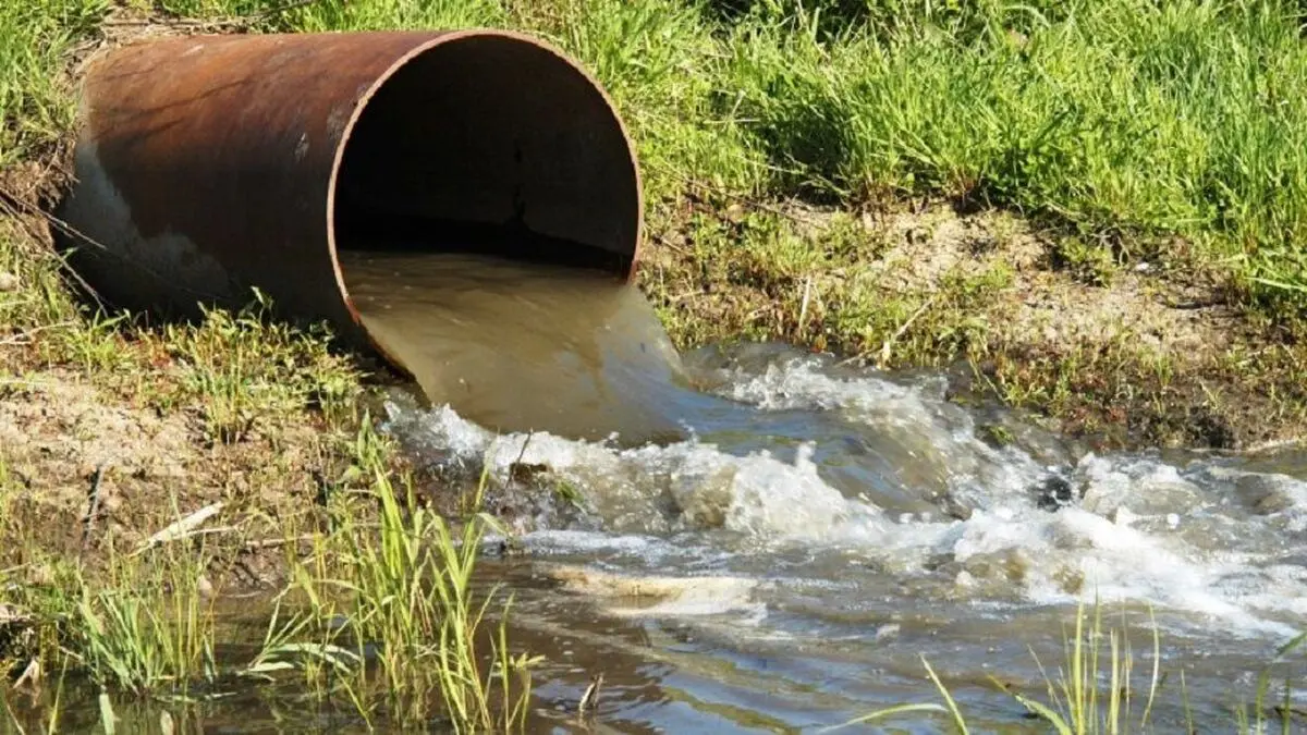 اکوسیستم‌ های آبی قربانی رقابت نابرابر برای دستیابی به آب