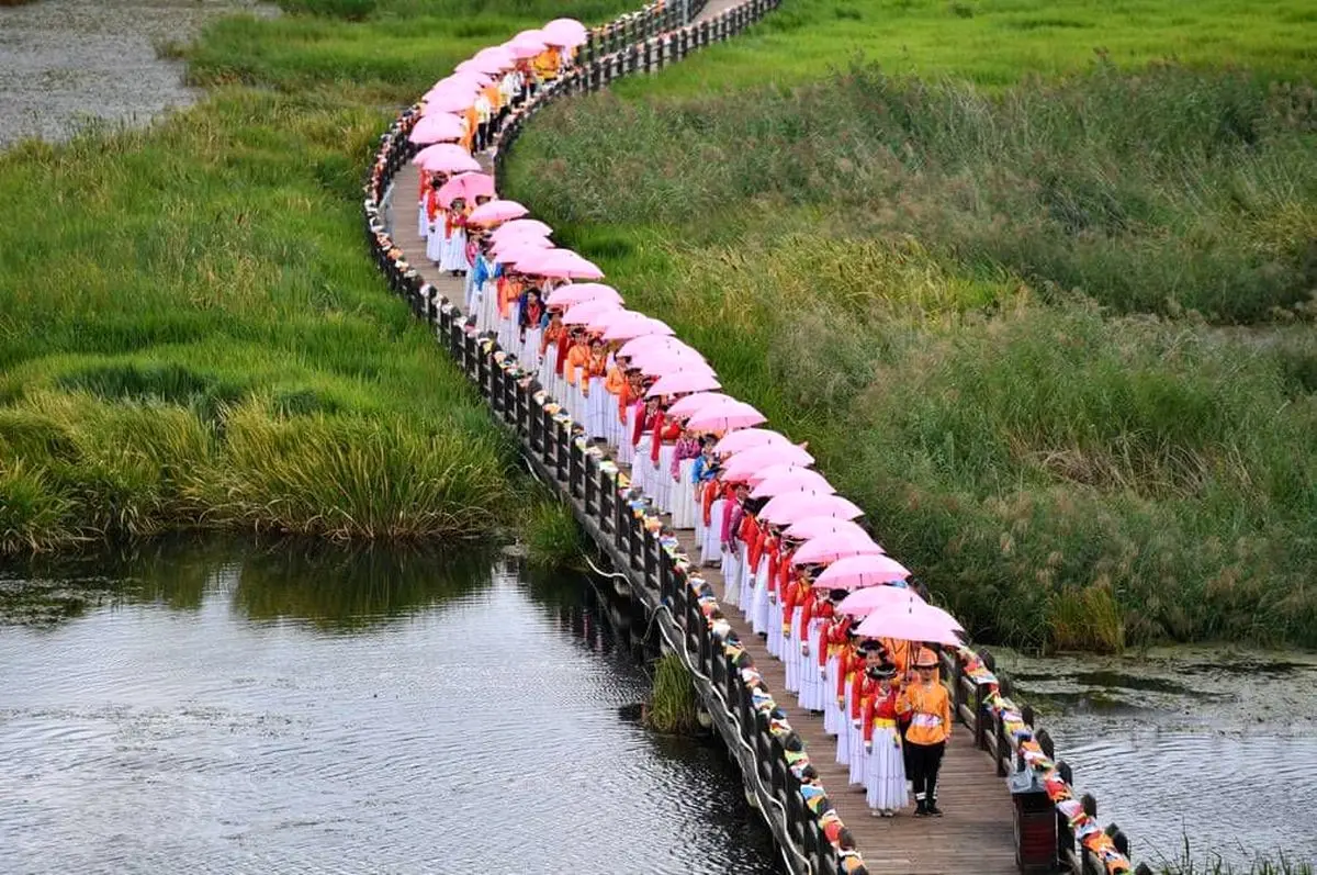 66 زوج در یک تصویر