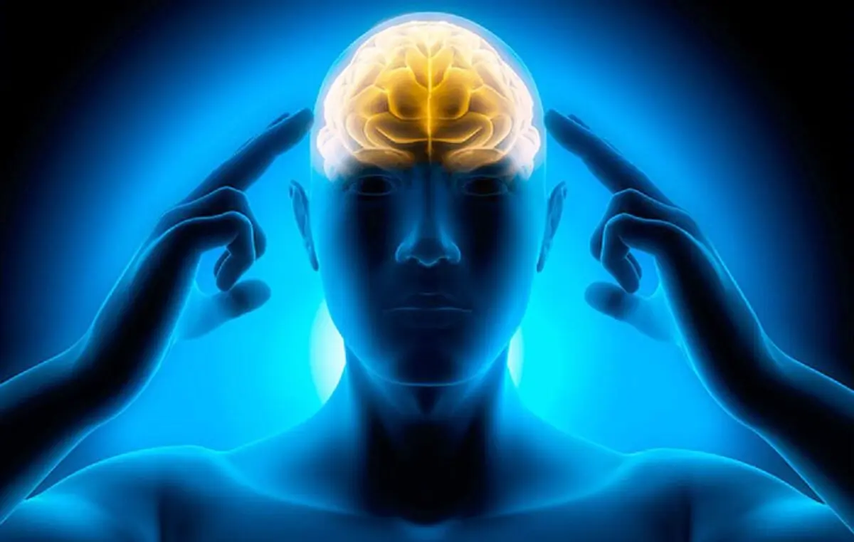 در 10 دقیقه حافظه خود را تقویت کنید