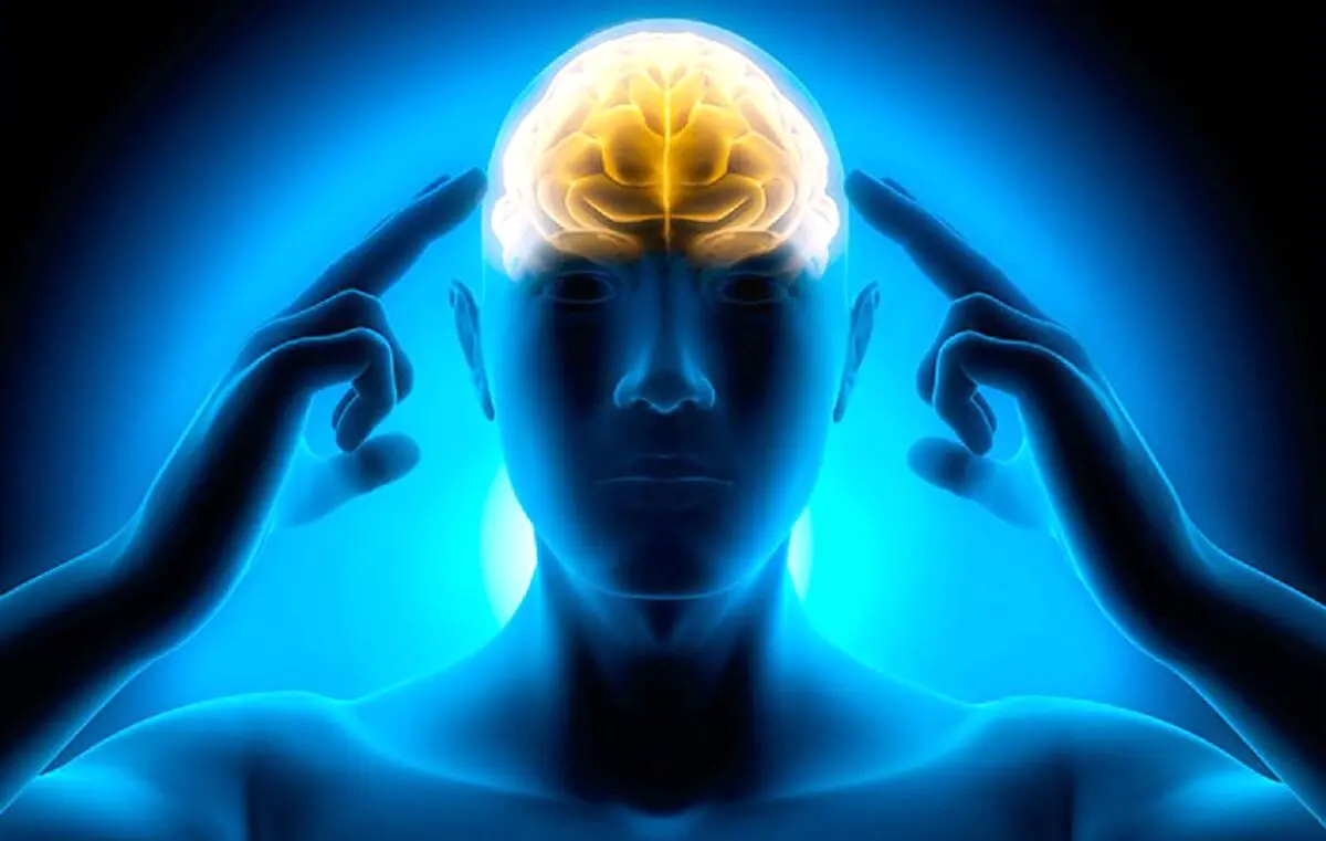 در 10 دقیقه حافظه خود را تقویت کنید
