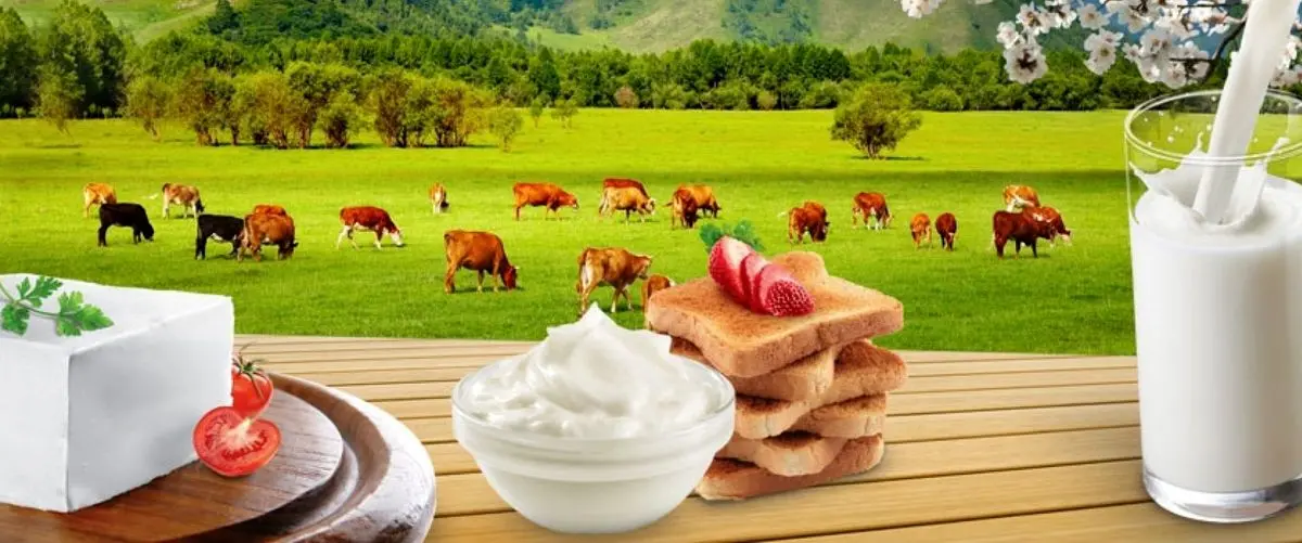 هشدار در خصوص مصرف لبنیات و گوشت سنتی
