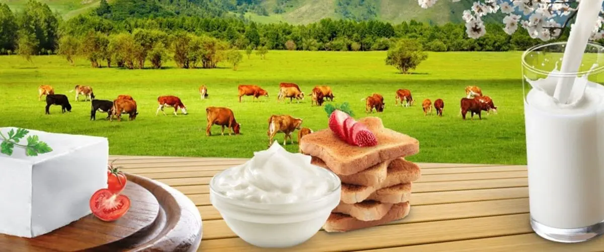 هشدار در خصوص مصرف لبنیات و گوشت سنتی