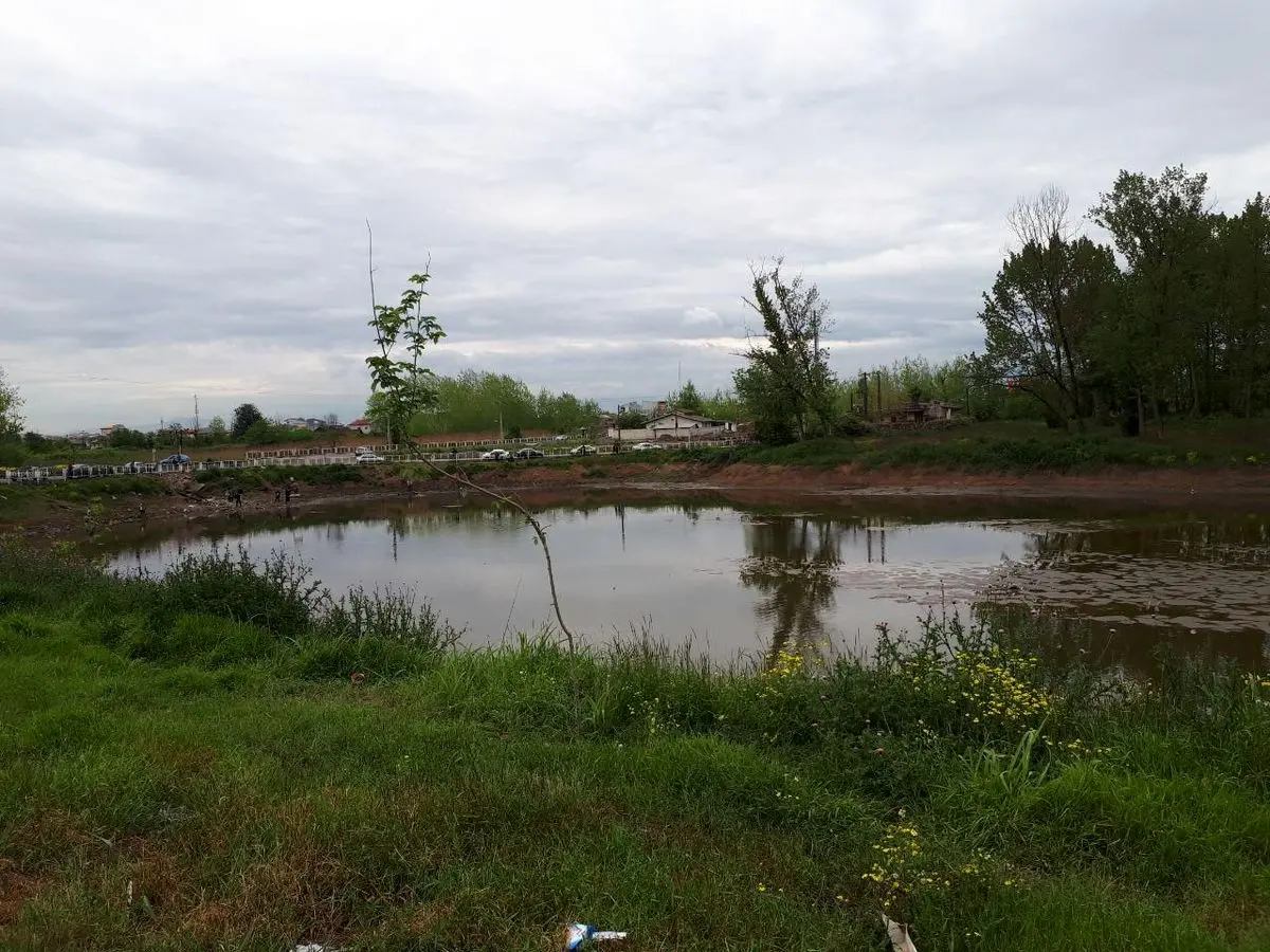 وقتی تالاب‌های دست‌ساز قتلگاه پرندگان مهاجر می‌شوند