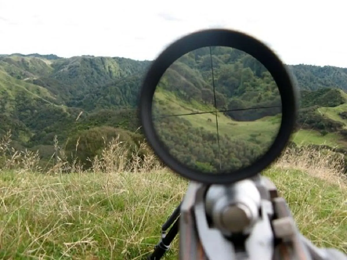 توضیحات محیط زیست کهگیلویه و بویراحمد درباره شکار گراز در خانه