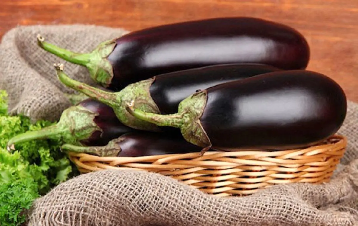 اطلاعاتی جالب درباره خواص شگفت‌انگیز بادمجان