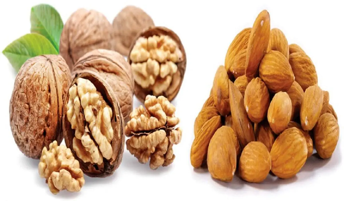 گردو و بادام طول عمرتان را زیاد می‌کنند