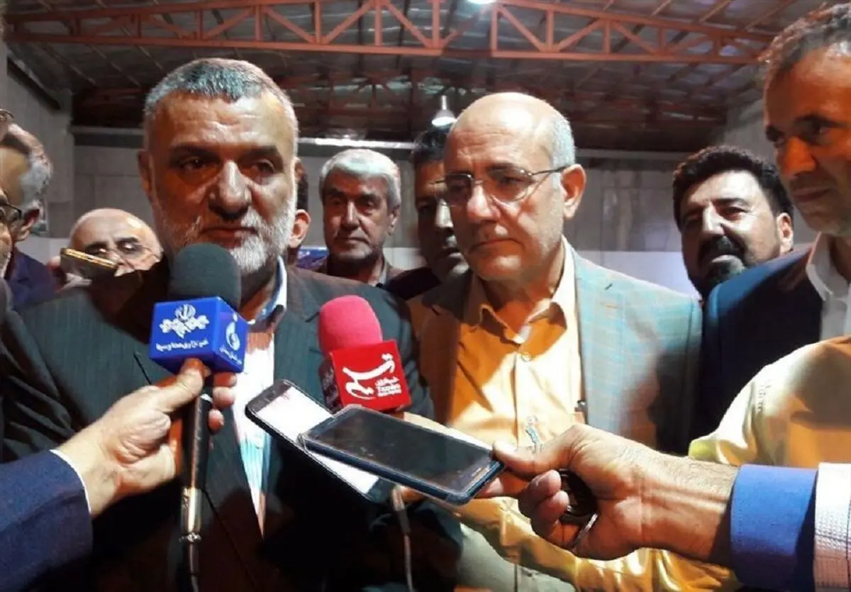 برخی از التهابات بازار مرغ ناشی از سیاه بازی است