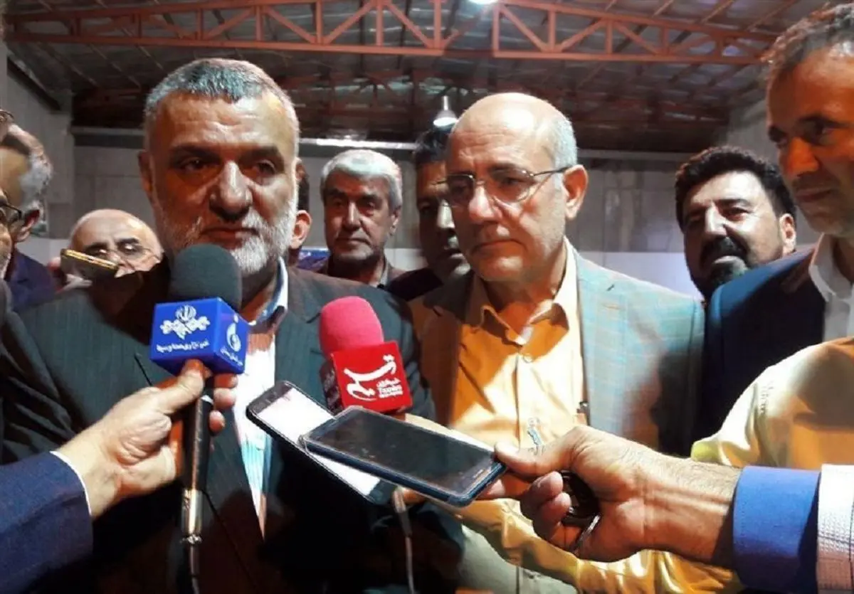 برخی از التهابات بازار مرغ ناشی از سیاه بازی است