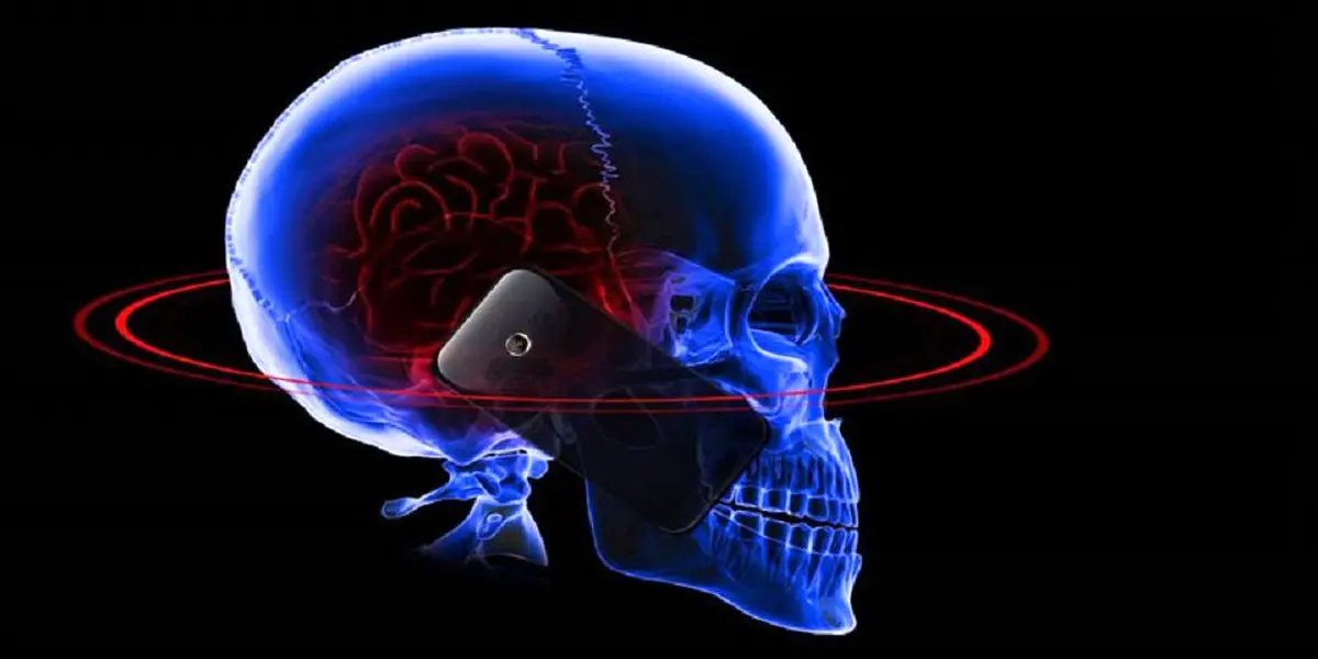 آیا امواج موبایل تاثیرات خطرناکی بر مغز می گذارند؟