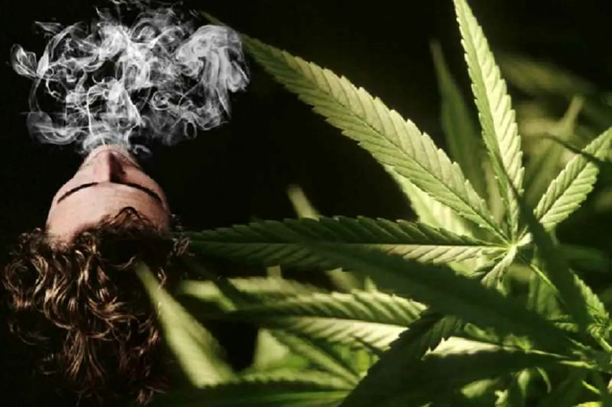 توهم‌زایی خوش‌نام که نقل محافل نوجوانان است