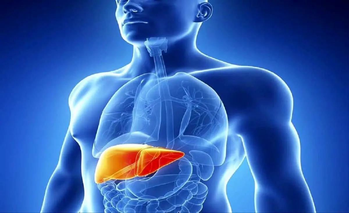 این غذاها کبد آقایان را نابود می کند! | رسانه خبری اینتیتر | %