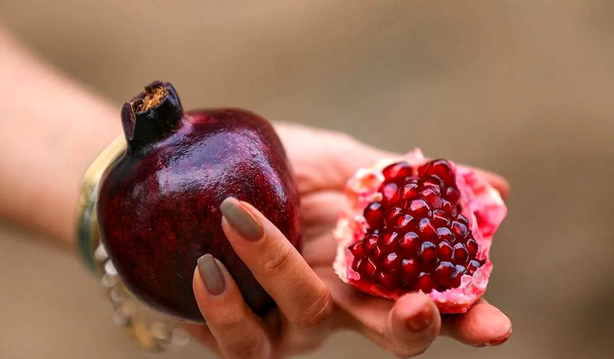 برداشت انار از باغات ارسنجان + تصویر | رسانه خبری اینتیتر رسانه خبری اینتیتر