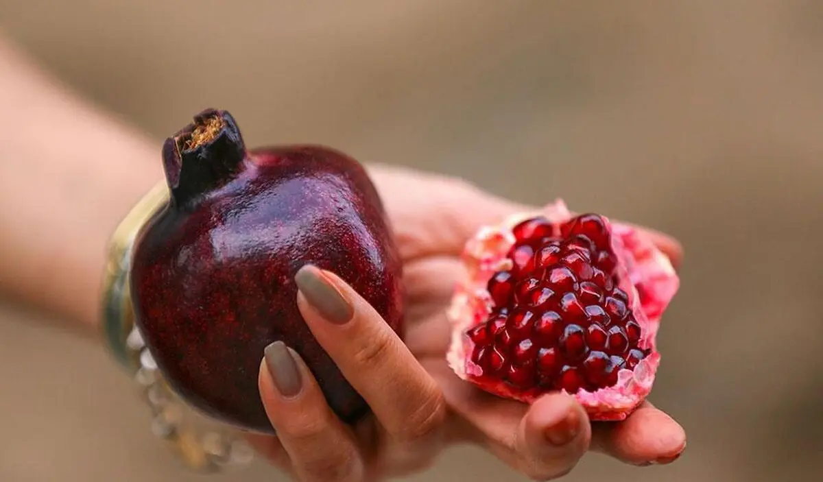 برداشت انار از باغات ارسنجان + تصویر | رسانه خبری اینتیتر رسانه خبری اینتیتر