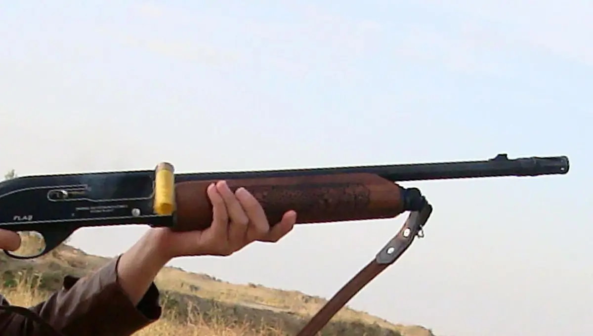 ظلمی که به طبیعت می شود | رسانه خبری اینتیتر ظلمی که به طبیعت می شود