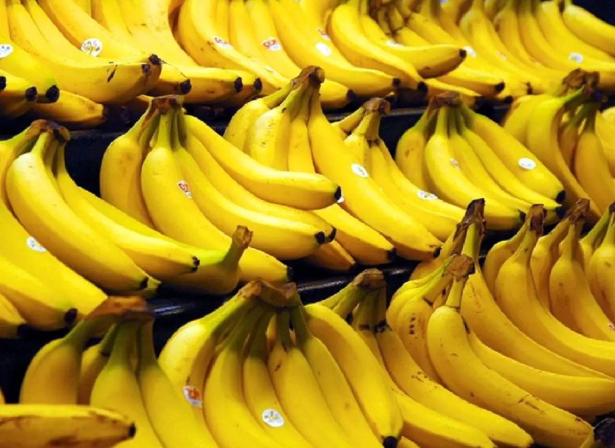 موز هم لاکچری شد | رسانه خبری اینتیتر |