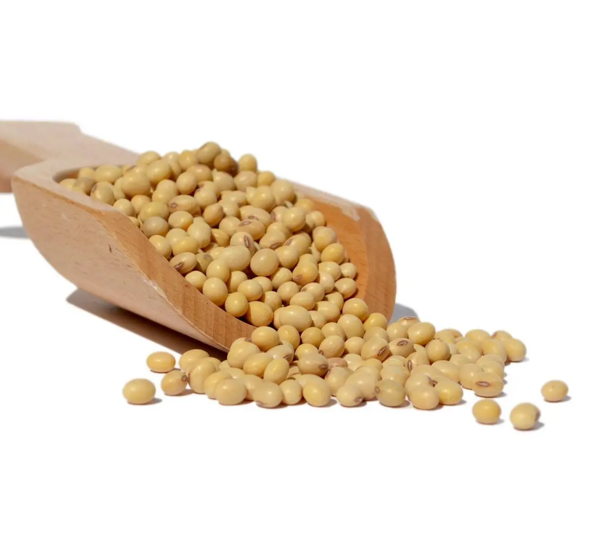 خواص سویا و ارتباط آن با گروه خونی چیست ؟