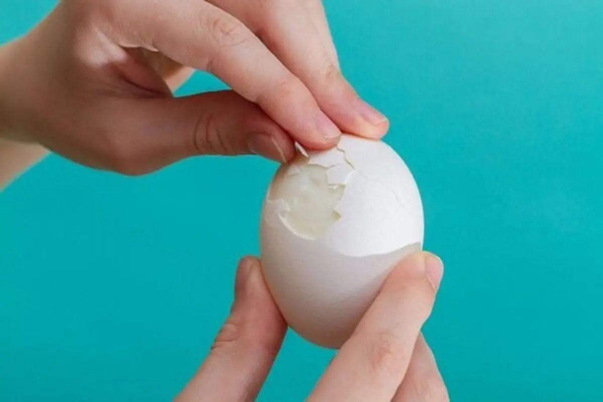 عوارض خوردن روزانه بیش از یک تخم مرغ
