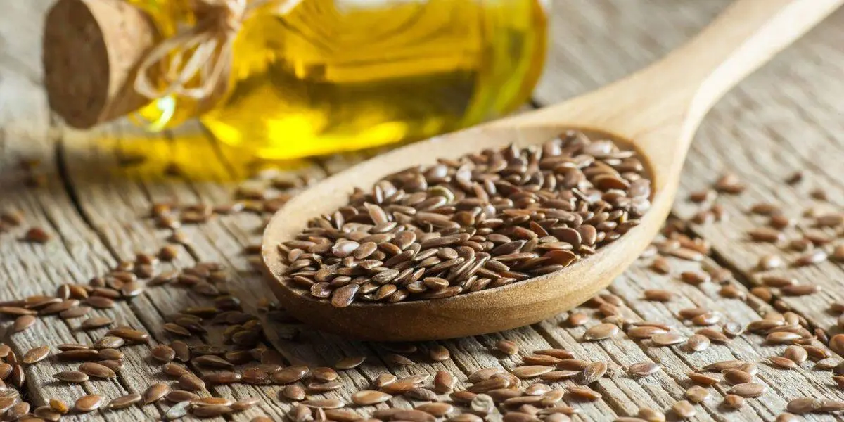 دانه کتان بمب لاغری را بیشتر بشناسید