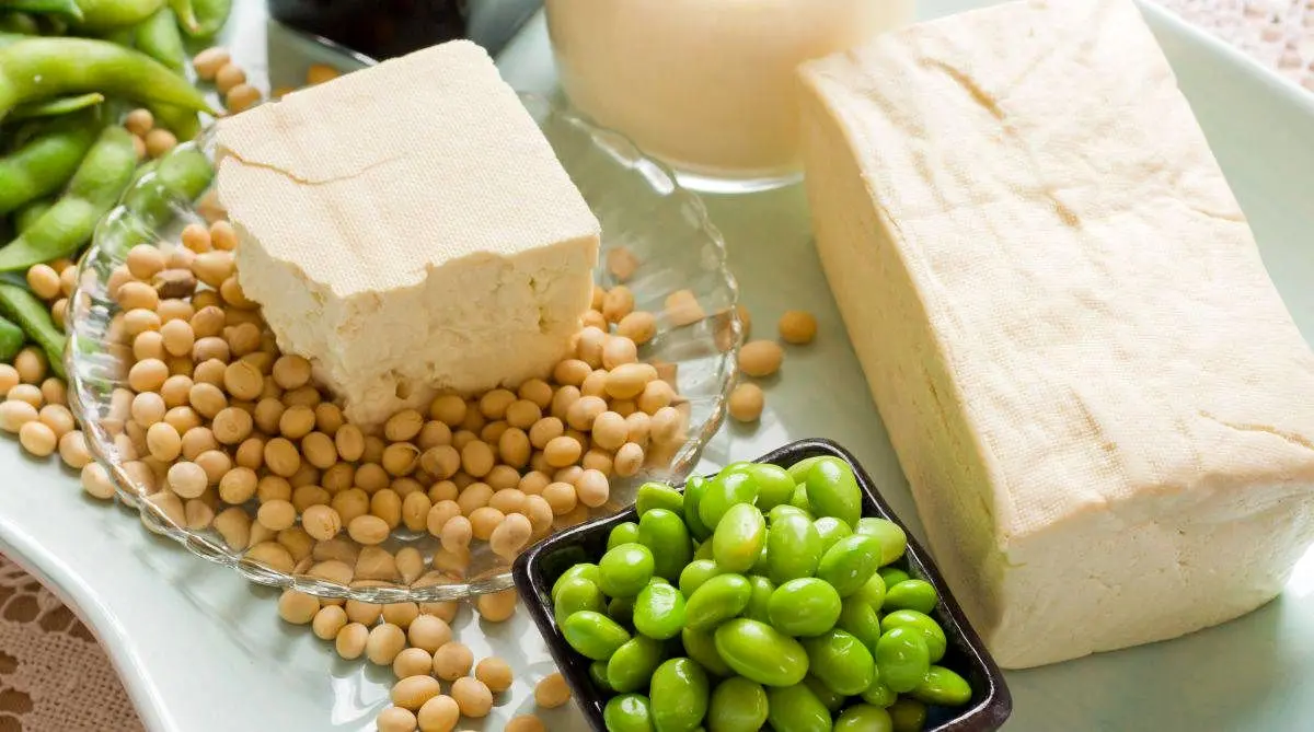 پنیر سویا برای سلامت قلب مفید است