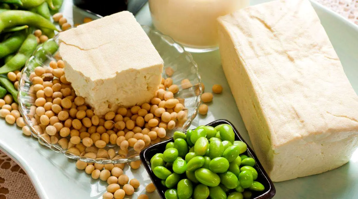 پنیر سویا برای سلامت قلب مفید است