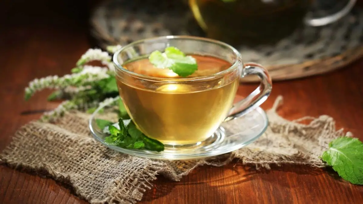 مصرف بیش از حد چای پونه باعث بروز چه بیماری‌هایی خواهد شد؟