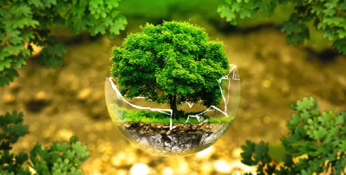 کرونا، دایه مهربان زمین