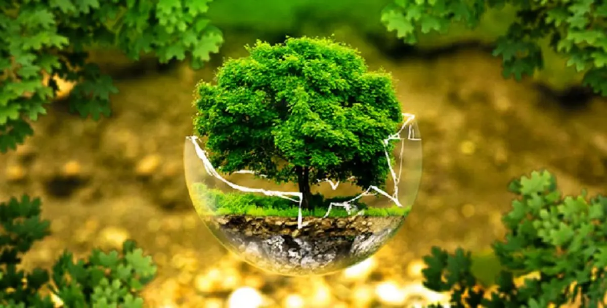 کرونا، دایه مهربان زمین