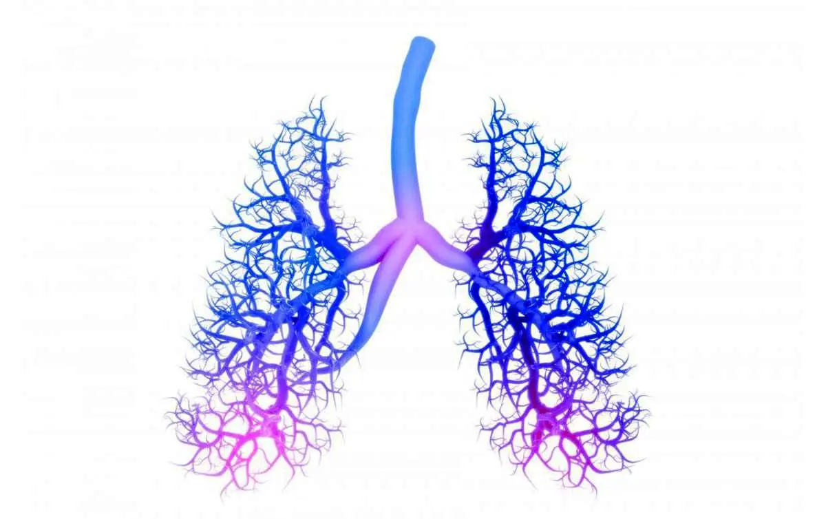 3 تمرین ساده برای افزایش ظرفیت ریه‌ها