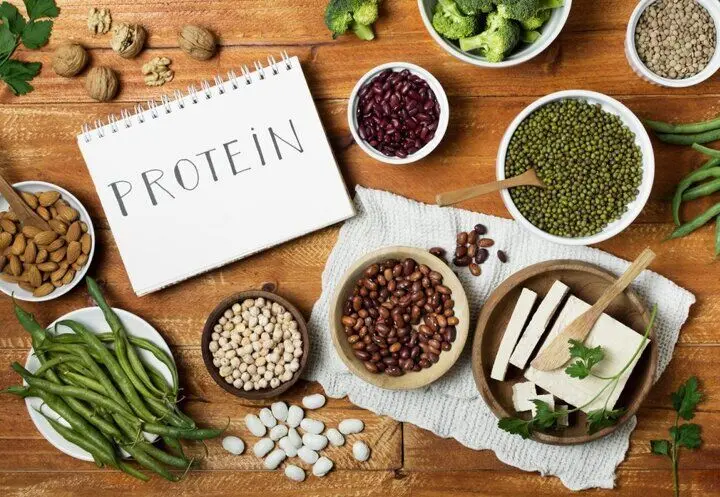 برای تأمین پروتئین فقط سراغ تخم‌مرغ نروید