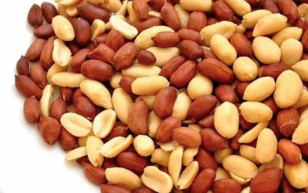 خوردن روزانه این مغز خوشمزه روند پیری را کند می‌کند