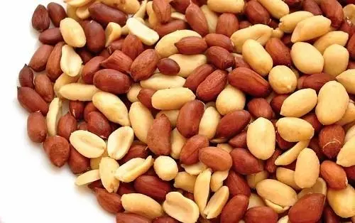 خوردن روزانه این مغز خوشمزه روند پیری را کند می‌کند