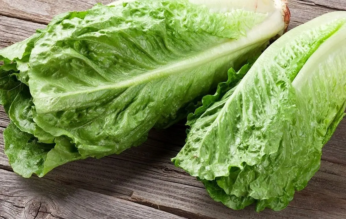 چه خوراکیهایی آب بدن را زیاد میکنند ؟