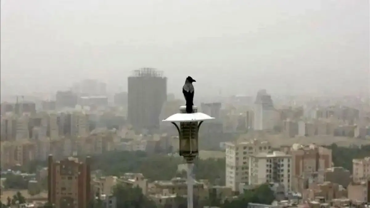 شاخص آلودگی هوای تهران امروز چهارشنبه ۱۰ دی ۱۴۰۴ | شاخص آلودگی تهران شوکه‌کننده شد
