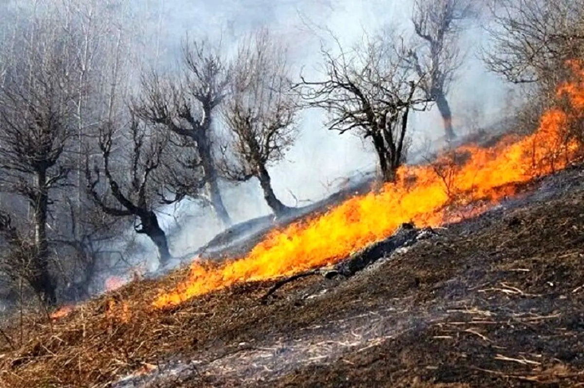 امسال ۹ مورد آتش سوزی مراتع در زنجان ثبت شد