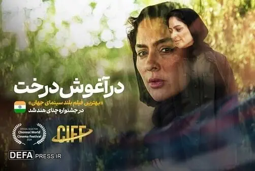 «در آغوش درخت» بهترین فیلم بلند سینمای جهان شد