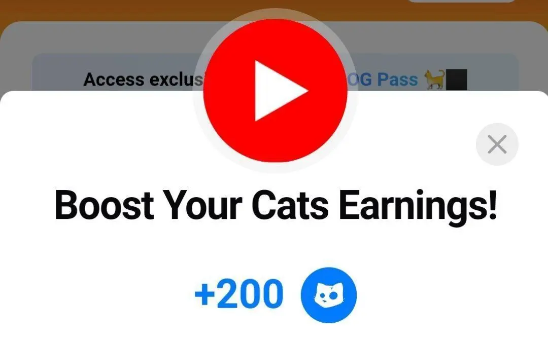 کد یوتیوب boost your cats earnings کتز امروز ۱۱ مهر و فردا ۱۲ مهر ۱۴۰۳