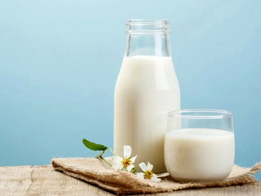 شیر گرم در مقابل شیر سرد؛ کدام بهتر است؟