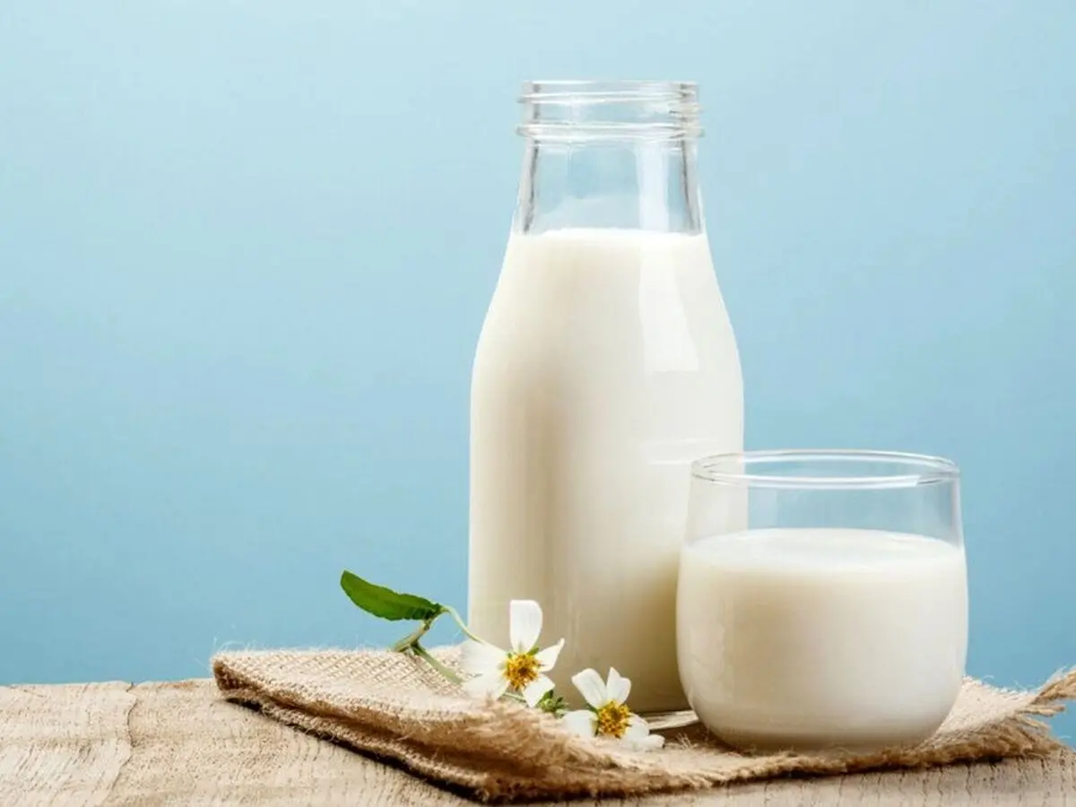 شیر گرم در مقابل شیر سرد؛ کدام بهتر است؟