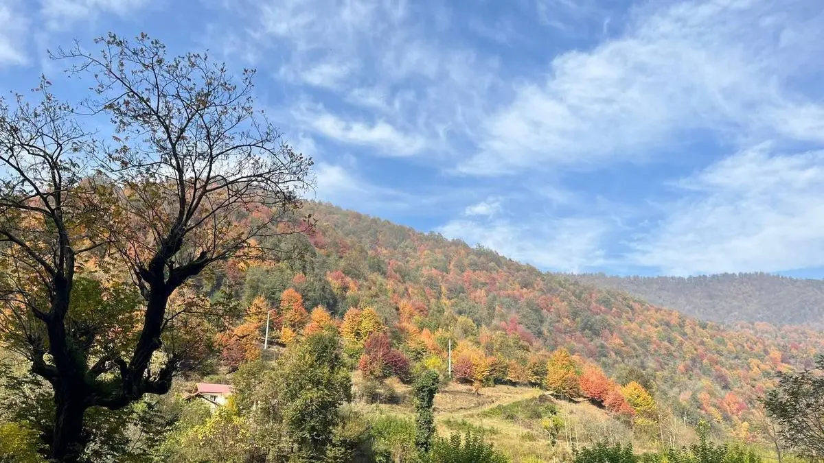 پیش بینی هواشناسی گیلان در ۲۴ ساعت آینده + وضعیت هوای گیلان فردا شنبه ۱۳ بهمن ۱۴۰۳ + آب و هوای گیلان