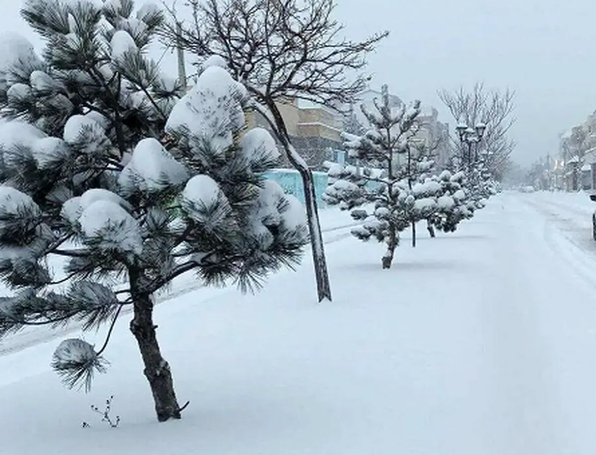 پیش بینی هوای مازندران در ۲۴ ساعت آینده + وضعیت هوای مازندران فردا شنبه ۴ اسفند ۱۴۰۳ + بارش برف و باران در مازندران