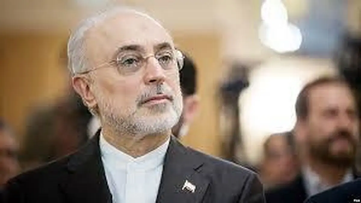 علی اکبر صالحی: با ناترازی‌های زیادی مواجه هستیم؛ به ناترازی در عقل هم توجه کنیم