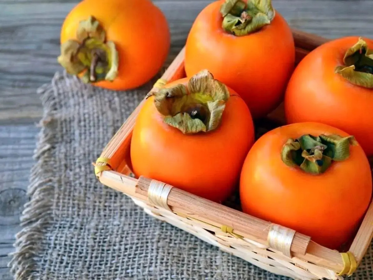 بهترین منابع غذایی برای جبران کمبود آهن معرفی شدند